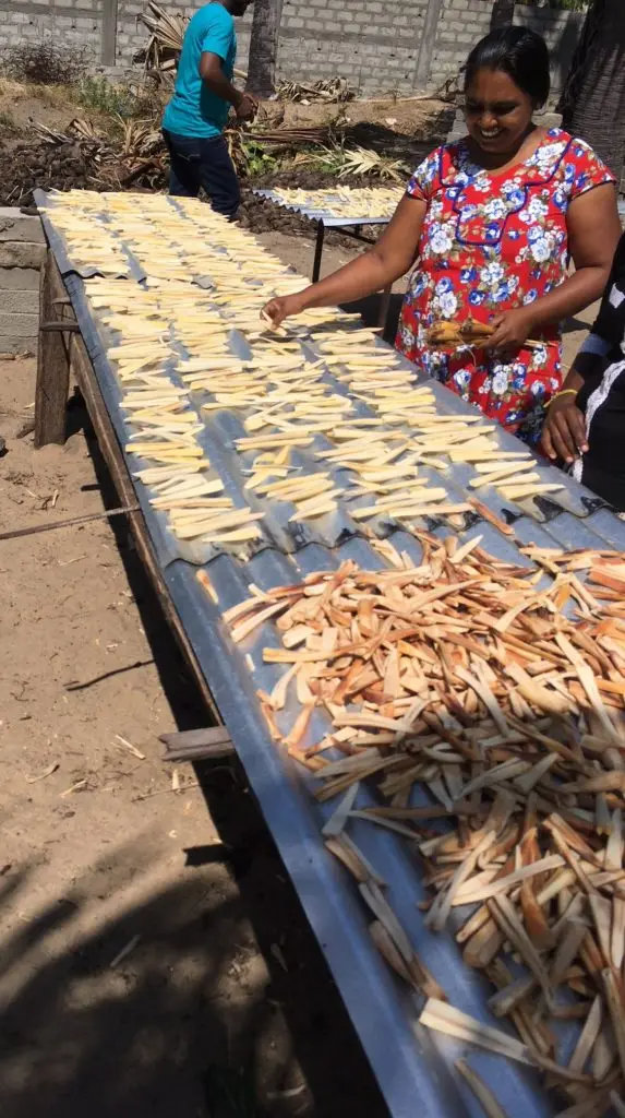 food drying